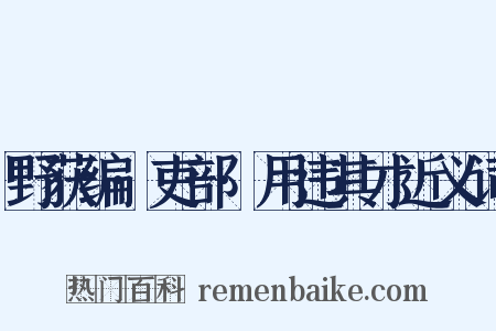 野获编·吏部·用违其才近义词是什么意思的图片
